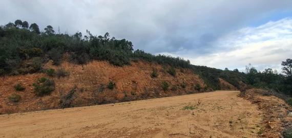 Terreno para Venda em Vila de Rei