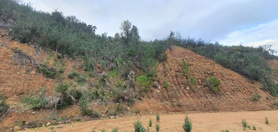 Terreno para Venda em Vila de Rei