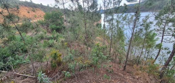 Terreno para Venda em Vila de Rei