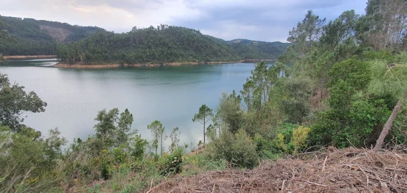 Terreno para Venda em Vila de Rei