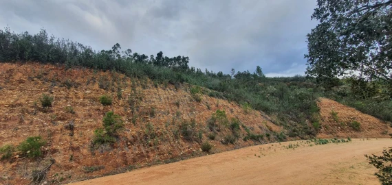 Terreno para Venda em Vila de Rei