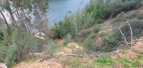 Terreno para Venda em Vila de Rei