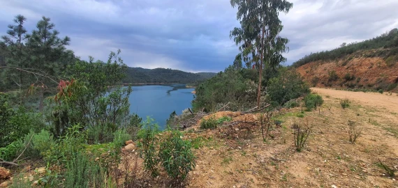 Terreno para Venda em Vila de Rei