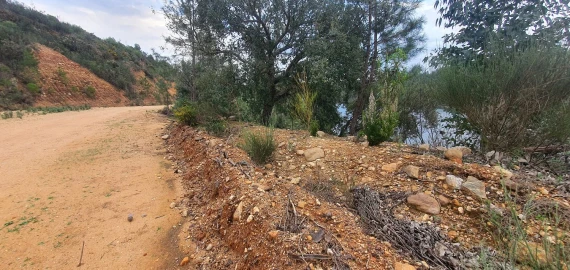 Terreno para Venda em Vila de Rei