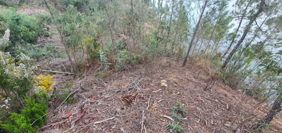 Terreno para Venda em Vila de Rei