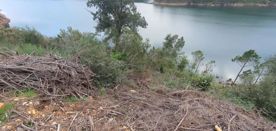 Terreno para Venda em Vila de Rei