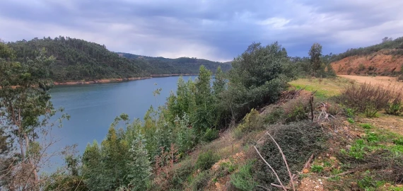 Terreno para Venda em Vila de Rei