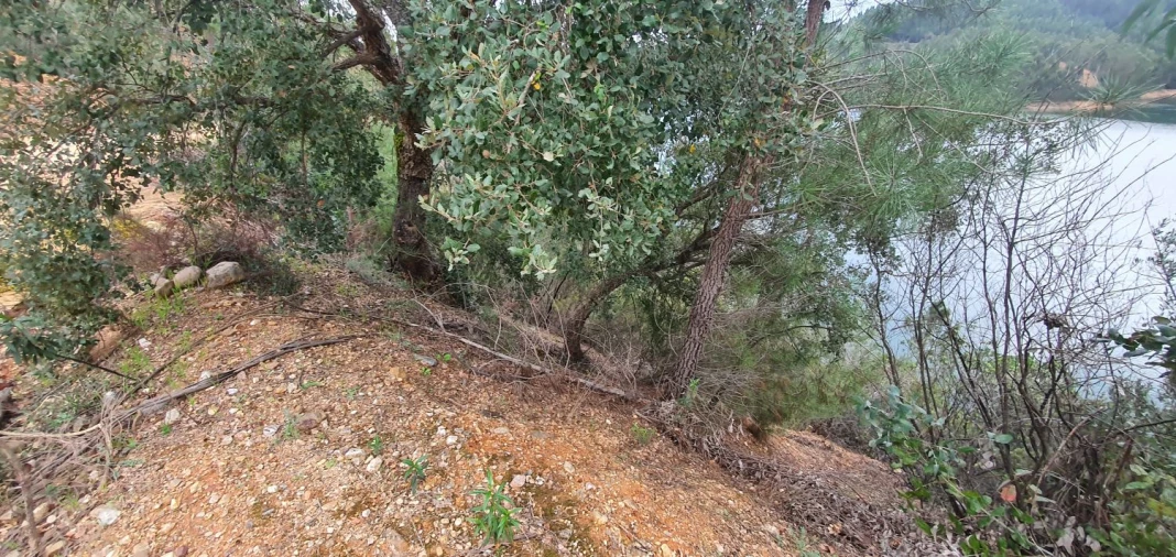 Terreno para Venda em Vila de Rei Foto 12