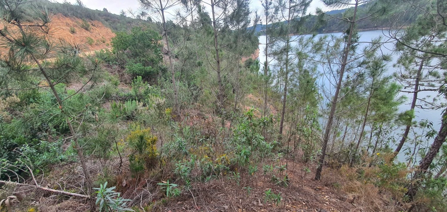 Terreno para Venda em Vila de Rei Foto 21