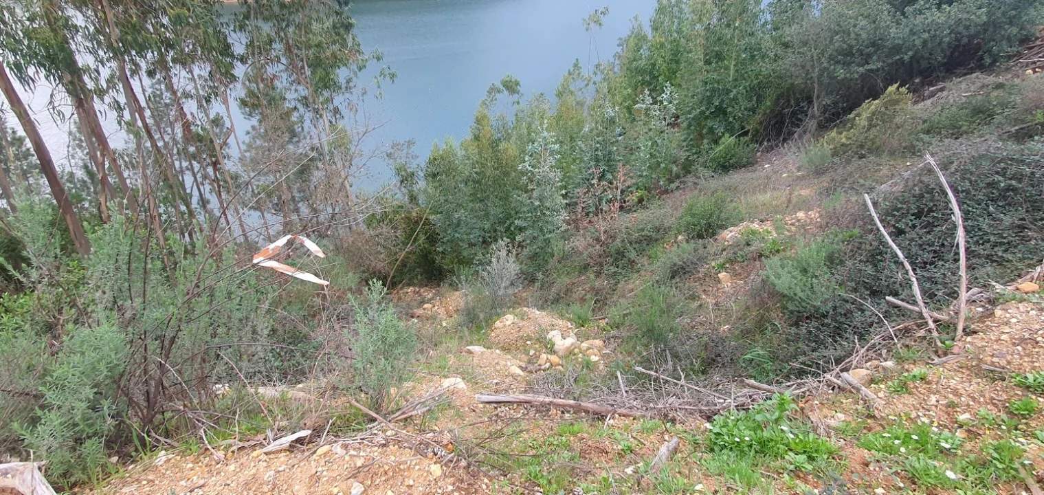 Terreno para Venda em Vila de Rei Foto 6