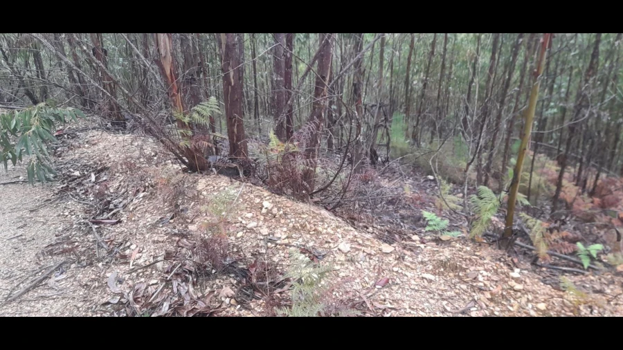 Terreno para Venda em Aguas Belas