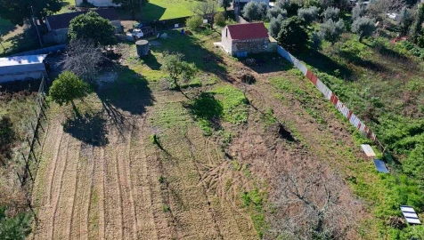 Quinta T0 para Venda em Beco