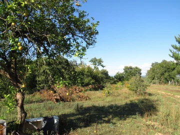 Quinta T0 para Venda em Beco