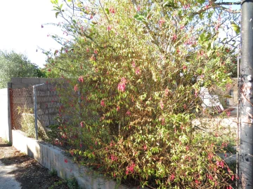 Quinta T0 para Venda em Beco