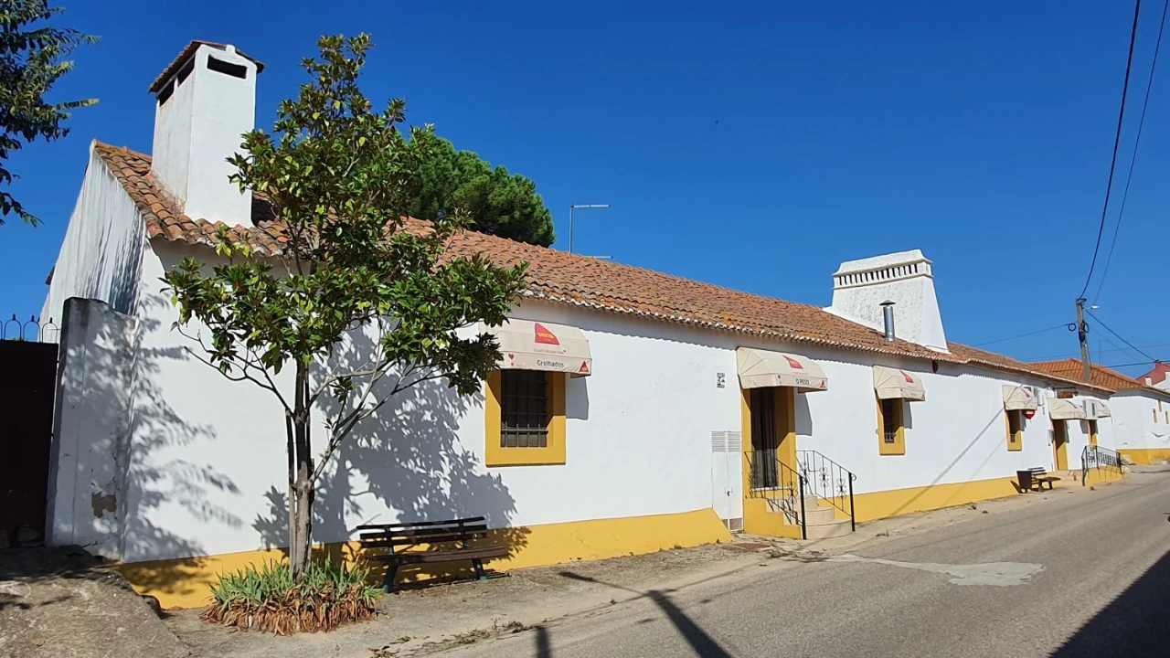 Loja para Venda em Golegã Foto 1