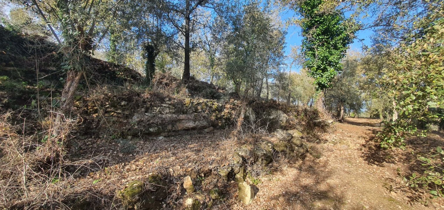 Moradia T2 para Venda em Areias e Pias Foto 24