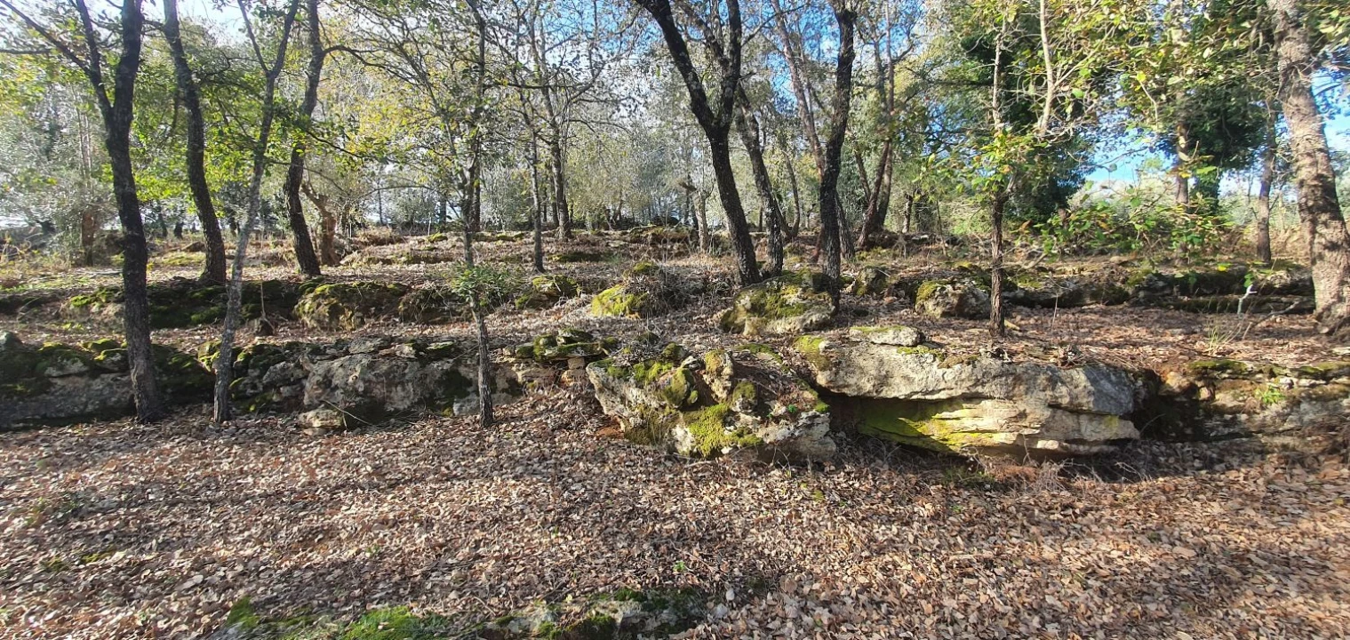 Moradia T2 para Venda em Areias e Pias Foto 32