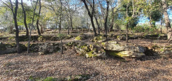 Moradia T2 para Venda em Areias e Pias