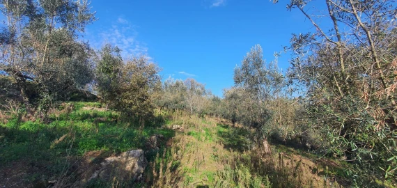 Moradia T2 para Venda em Areias e Pias