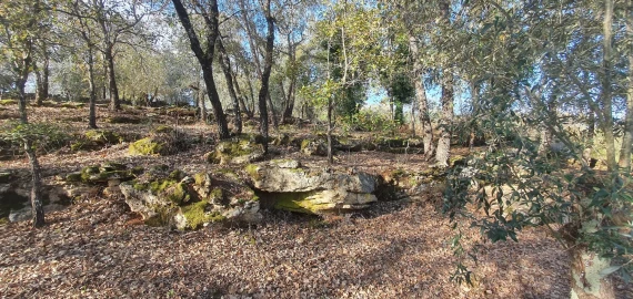 Moradia T2 para Venda em Areias e Pias