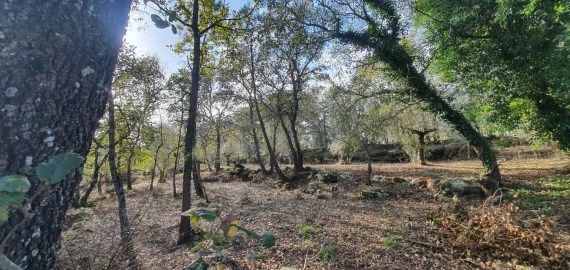 Moradia T2 para Venda em Areias e Pias