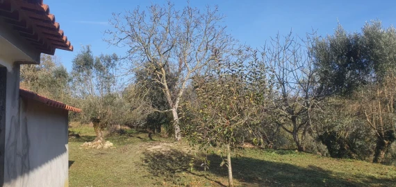 Moradia T2 para Venda em Areias e Pias