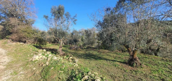 Moradia T2 para Venda em Areias e Pias