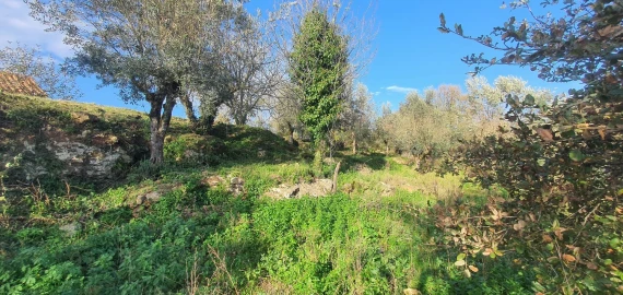 Moradia T2 para Venda em Areias e Pias