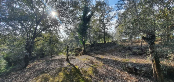 Moradia T2 para Venda em Areias e Pias