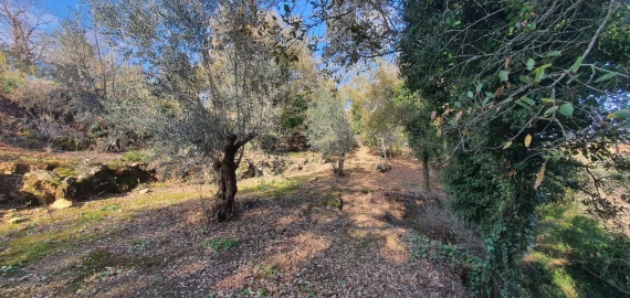 Moradia T2 para Venda em Areias e Pias