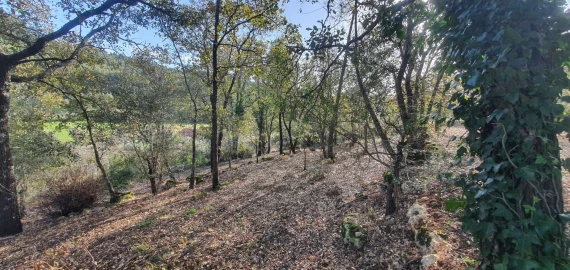 Moradia T2 para Venda em Areias e Pias