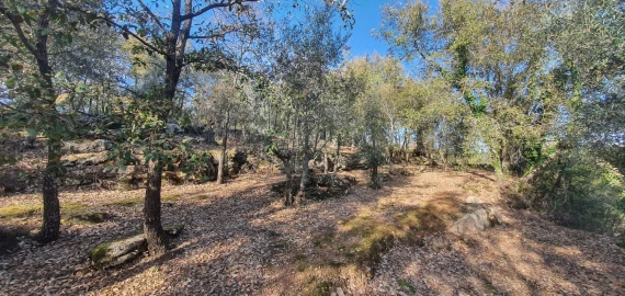 Moradia T2 para Venda em Areias e Pias