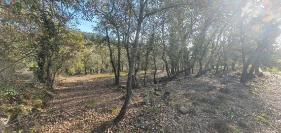 Moradia T2 para Venda em Areias e Pias