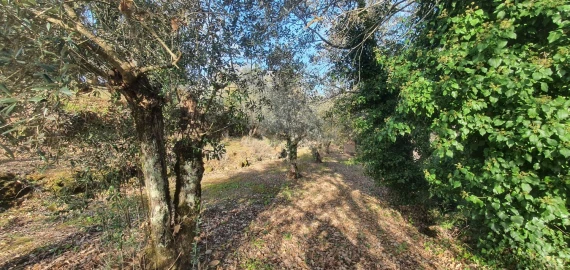 Moradia T2 para Venda em Areias e Pias