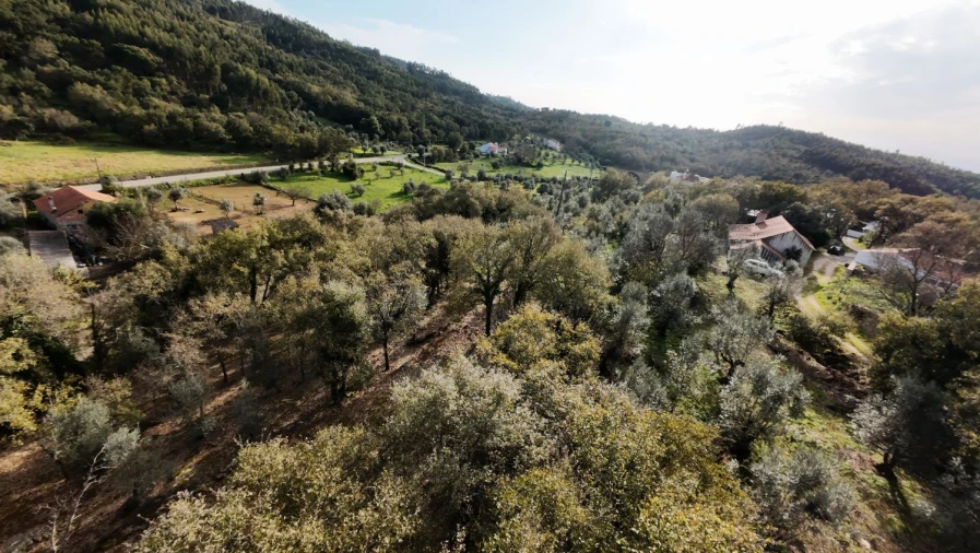 Moradia T2 para Venda em Areias e Pias Foto 4