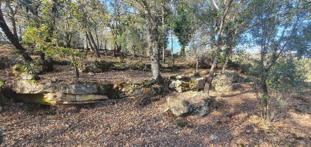 Moradia T2 para Venda em Areias e Pias Foto 33