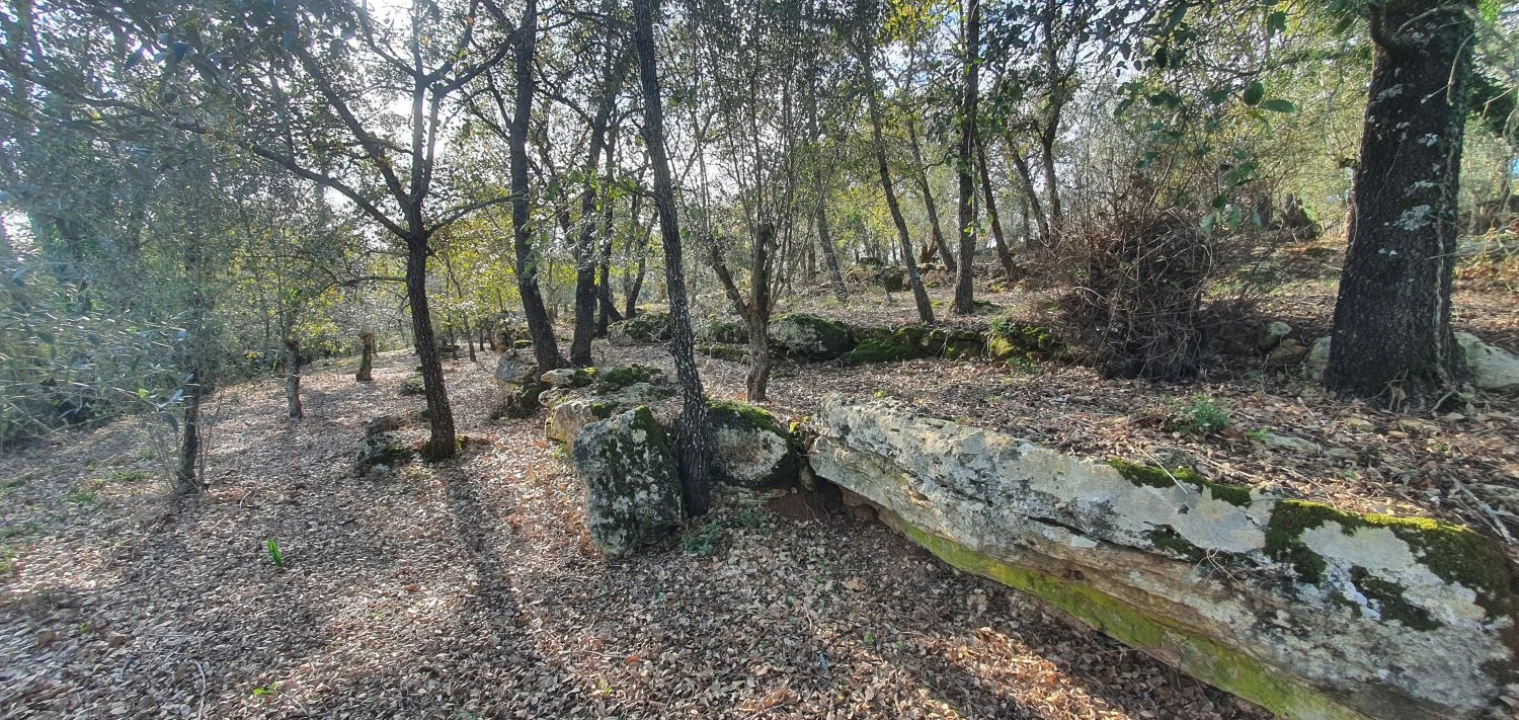 Moradia T2 para Venda em Areias e Pias Foto 34