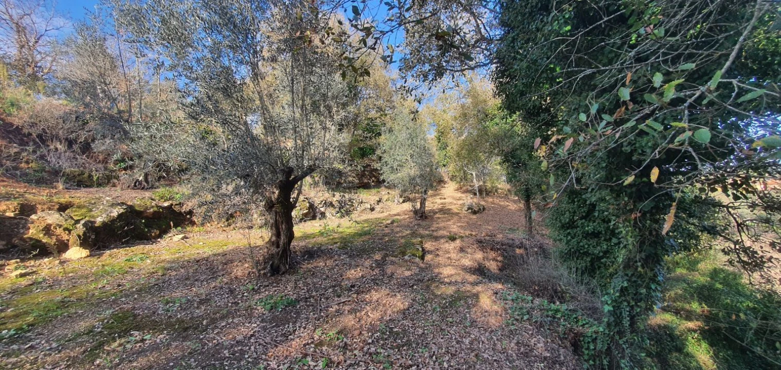 Moradia T2 para Venda em Areias e Pias Foto 29