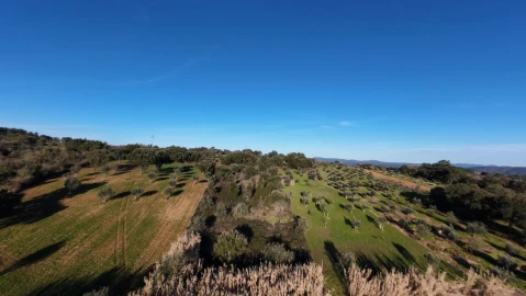 Moradia T5 para Venda em Olalhas