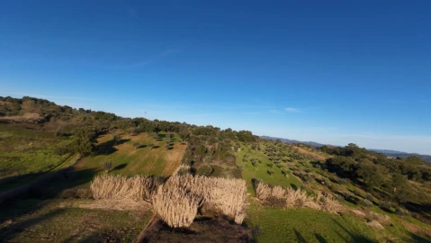 Moradia T5 para Venda em Olalhas