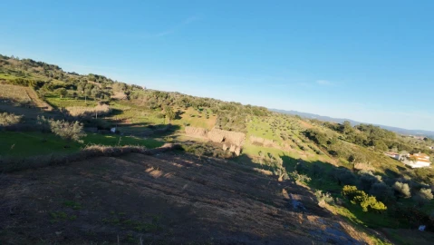 Moradia T5 para Venda em Olalhas