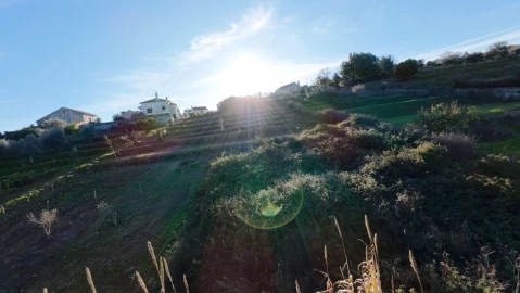 Moradia T5 para Venda em Olalhas