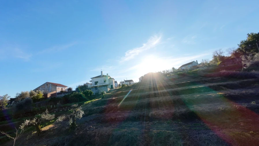 Moradia T5 para Venda em Olalhas Foto 5