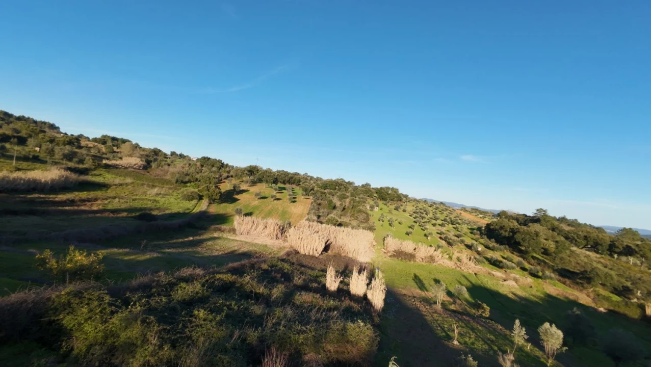 Moradia T5 para Venda em Olalhas Foto 15