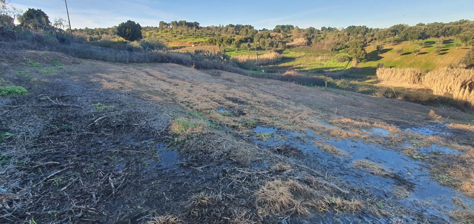 Moradia T5 para Venda em Olalhas Foto 29