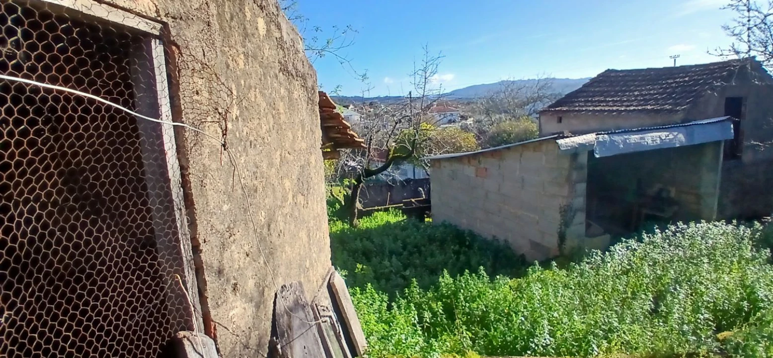 Quinta T5 para Venda em Chãos Foto 15