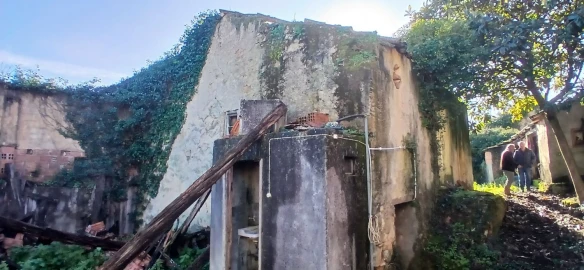 Quinta T5 para Venda em Chãos