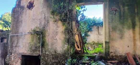 Quinta T5 para Venda em Chãos