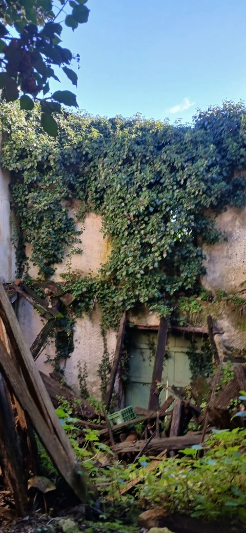 Quinta T5 para Venda em Chãos