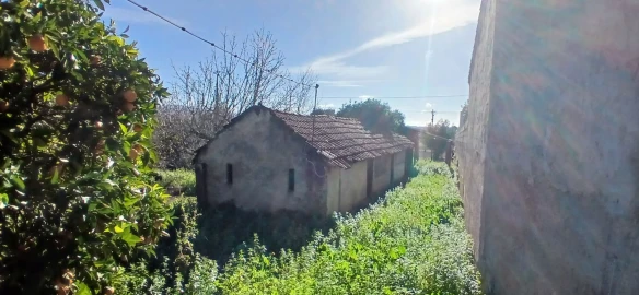 Quinta T5 para Venda em Chãos